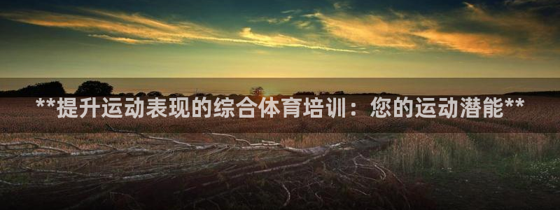 焦点娱乐平台续7O777：**提升运动表现的综合体育
