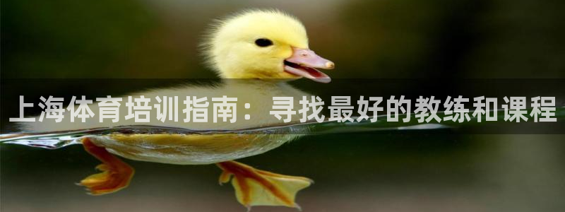 焦点娱乐加速器下载安装：上海体育培训指南：寻找最好的