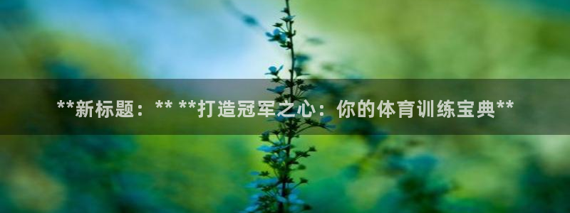 焦点娱乐公司的发展历程简述：**新标题：** **打