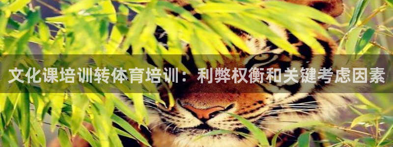 焦点娱乐平台注册账号怎么注销不了：文化课培训转体育培