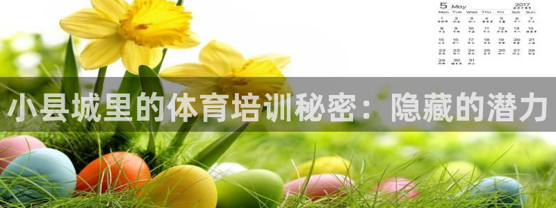焦点娱乐待遇：小县城里的体育培训秘密：隐藏的潜力