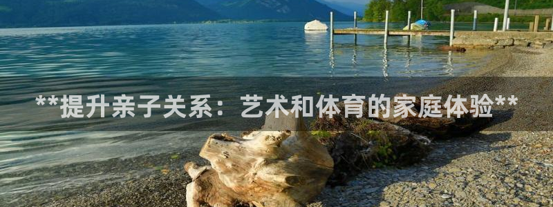 焦点娱乐平台是正规的吗：**提升亲子关系：艺术和体育的家庭体