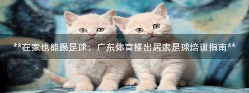 焦点娱乐会所：**在家也能踢足球：广东体育推出居家足球培训指