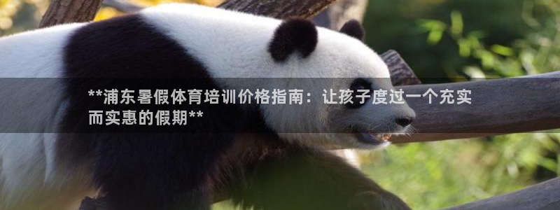 焦点娱乐下载手机版最新版：**浦东暑假体育培训价格指