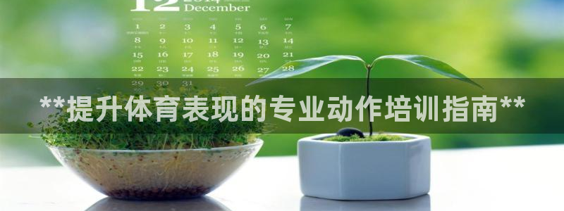 焦点娱乐平台注册账号安全吗：**提升体育表现的专业动