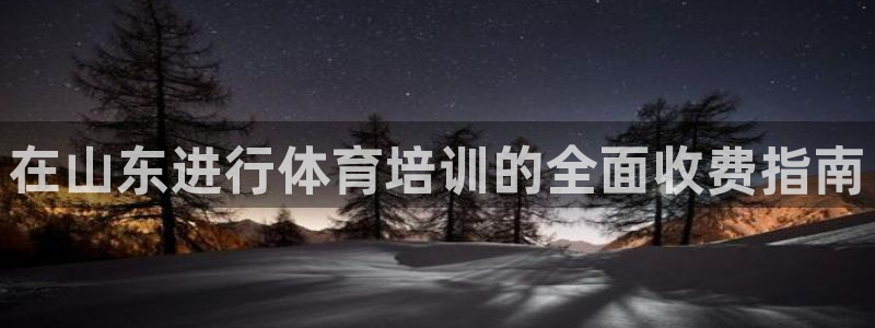 焦点娱乐游戏：在山东进行体育培训的全面收费指南
