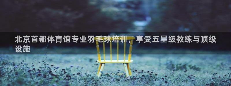 焦点娱乐平台登录不了怎么回事：北京首都体育馆专业羽毛