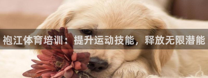 焦点娱乐公司的发展历程简介：袍江体育培训：提升运动技能，释放