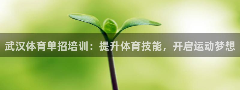 焦点娱乐官方网站首页：武汉体育单招培训：提升体育技能，开启运