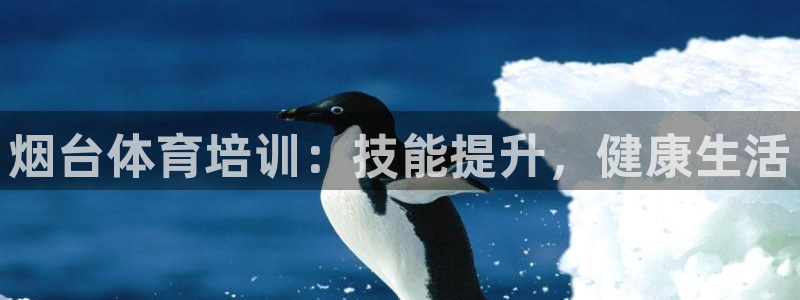 焦点娱乐黑平台：烟台体育培训：技能提升，健康生活