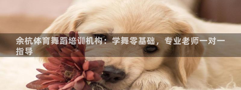 焦点娱乐是什么软件：余杭体育舞蹈培训机构：学舞零基础，专业老