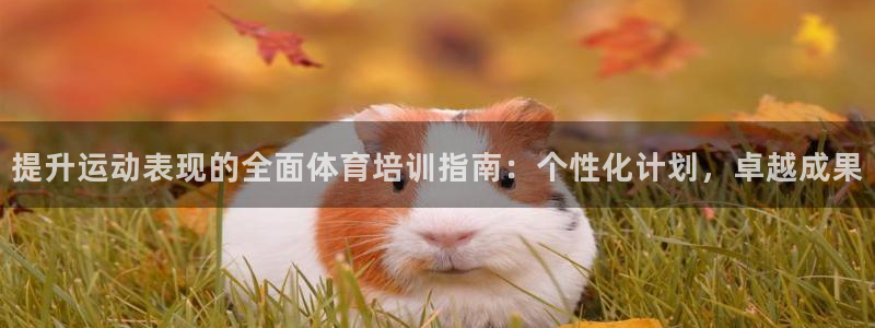 焦点娱乐平台是正规的吗安全吗知乎：提升运动表现的全面