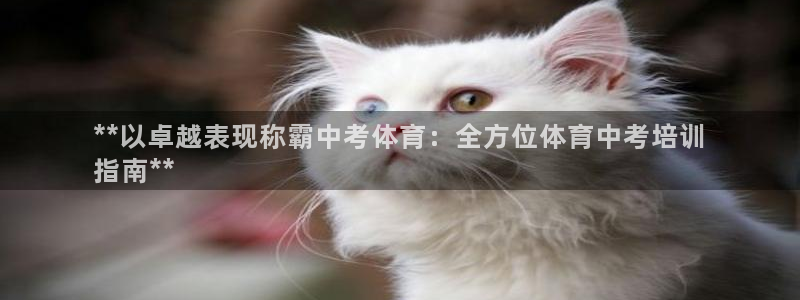 焦点娱乐开发：**以卓越表现称霸中考体育：全方位体育