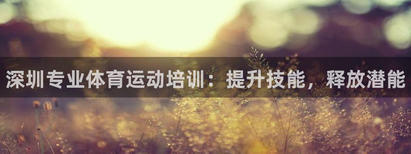焦点娱乐软件版本下载：深圳专业体育运动培训：提升技能