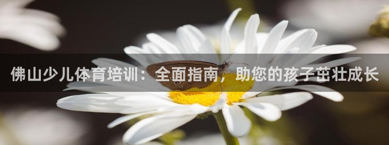 焦点娱乐官方网站首页下载：佛山少儿体育培训：全面指南，助您的
