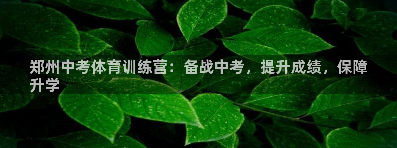 焦点娱乐传媒有限公司招聘：郑州中考体育训练营：备战中