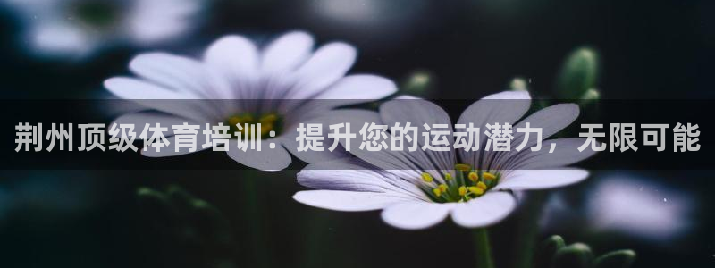 焦点娱乐如何注册账号和密码登录：荆州顶级体育培训：提