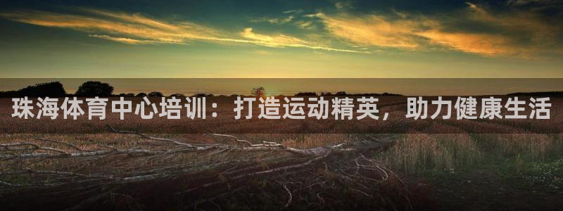 焦点娱乐官网下载安装最新版：珠海体育中心培训：打造运