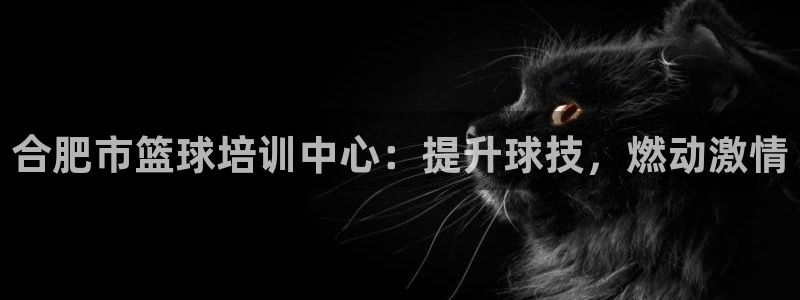 焦点娱乐说说文案：合肥市篮球培训中心：提升球技，燃动