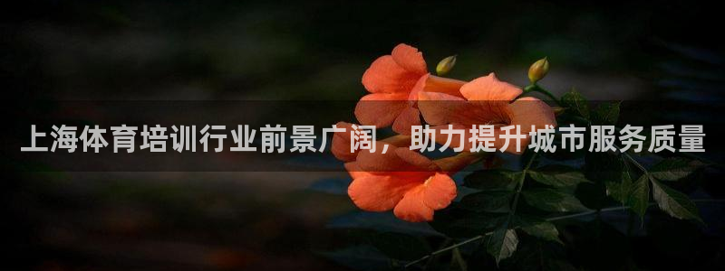 焦点娱乐和门徒娱乐提款到账快吗：上海体育培训行业前景