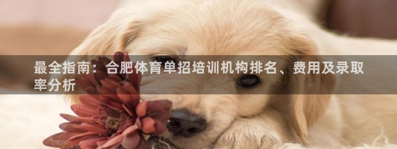 焦点娱乐平台底7O777：最全指南：合肥体育单招培训