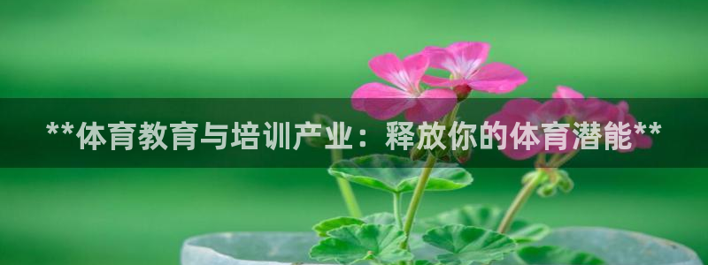 焦点娱乐ktv：**体育教育与培训产业：释放你的体育