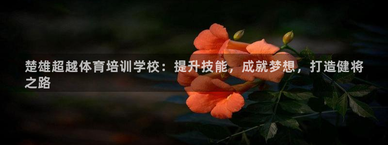 焦点娱乐游戏怎么玩的：楚雄超越体育培训学校：提升技能