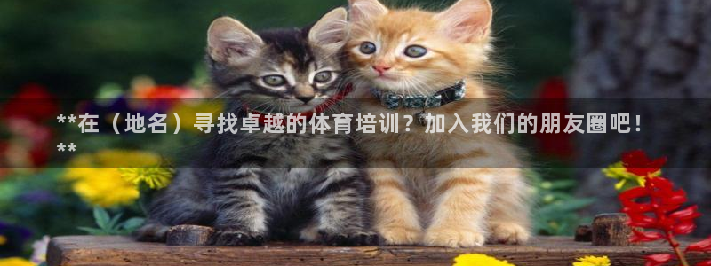 焦点娱乐平台是正规的吗知乎：**在（地名）寻找卓越的