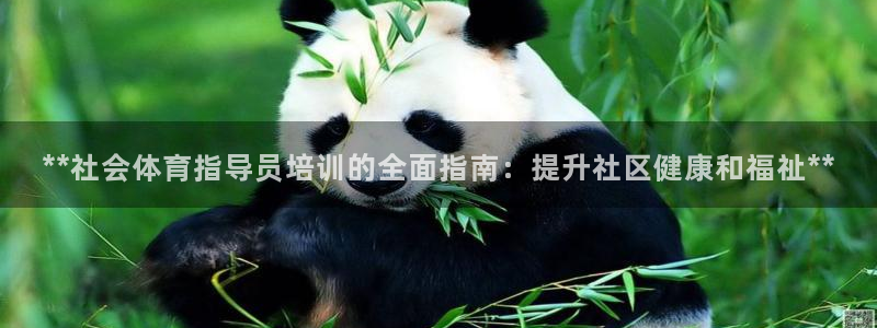 焦点娱乐传媒有限公司怎么样知乎招聘：**社会体育指导