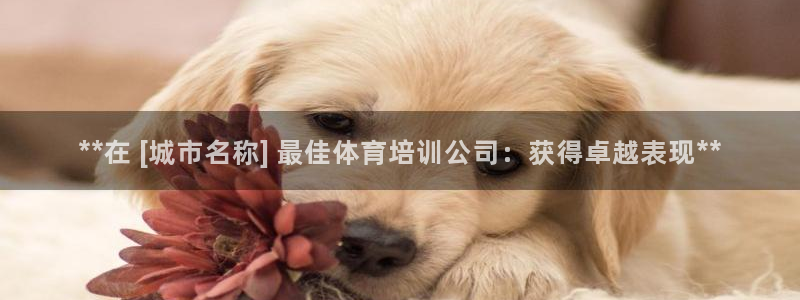 焦点娱乐公司：**在 [城市名称] 最佳体育培训公司