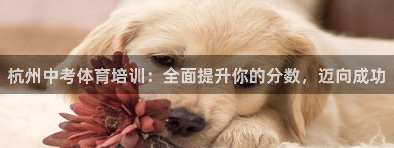 焦点娱乐平台注册账号是什么样的：杭州中考体育培训：全