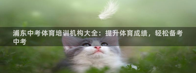 焦点娱乐网站下载地址：浦东中考体育培训机构大全：提升体育成绩