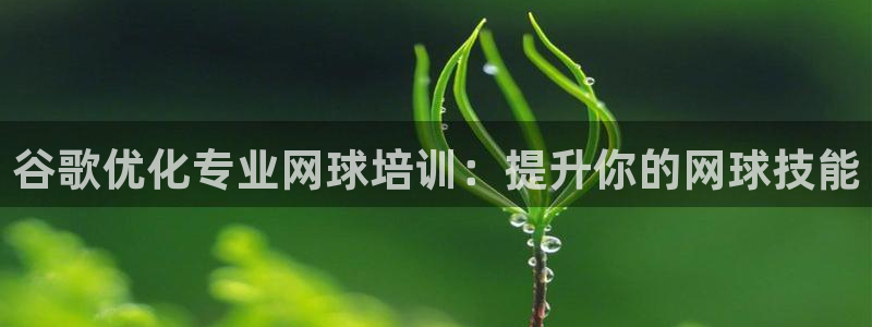 焦点娱乐如何注册账号和密码呢：谷歌优化专业网球培训：