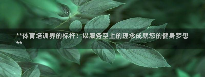 焦点娱乐平台注册账号是什么：**体育培训界的标杆：以