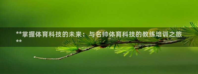 焦点娱乐挂机：**掌握体育科技的未来：与名帅体育科技