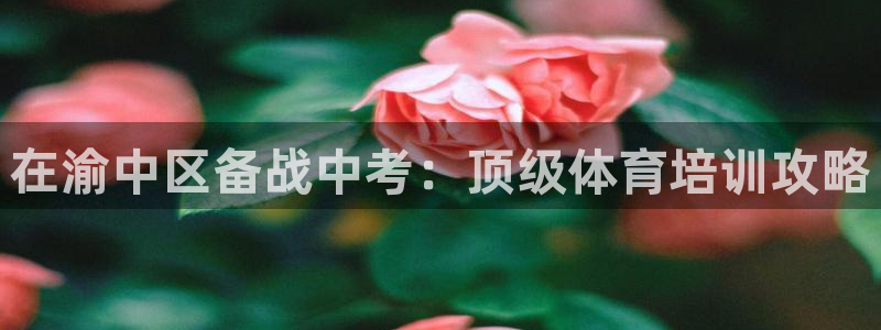 焦点娱乐是什么：在渝中区备战中考：顶级体育培训攻略