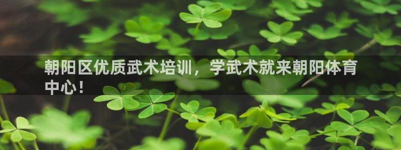 焦点娱乐官网下载苹果：朝阳区优质武术培训，学武术就来