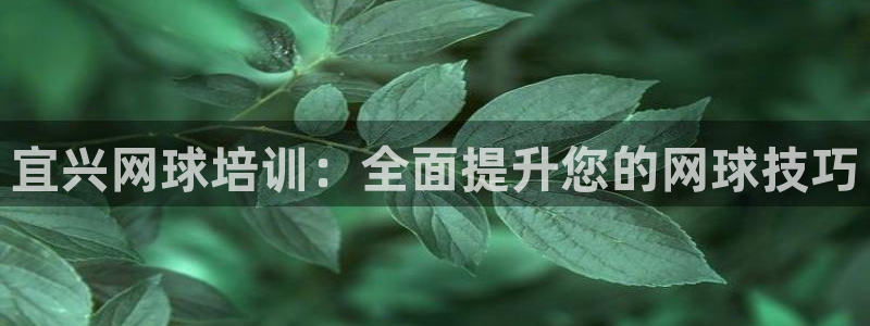 焦点娱乐传媒有限公司怎么样呀：宜兴网球培训：全面提升