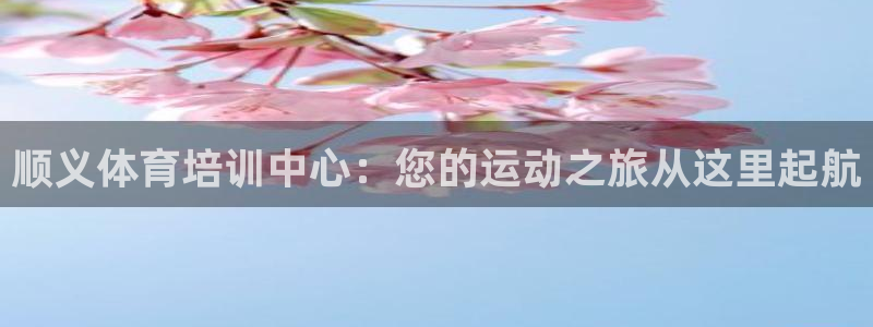 焦点娱乐官网下载苹果版：顺义体育培训中心：您的运动之