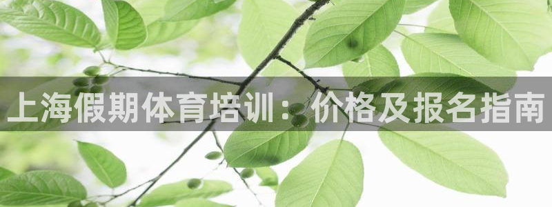 焦点娱乐app下载官网：上海假期体育培训：价格及报名
