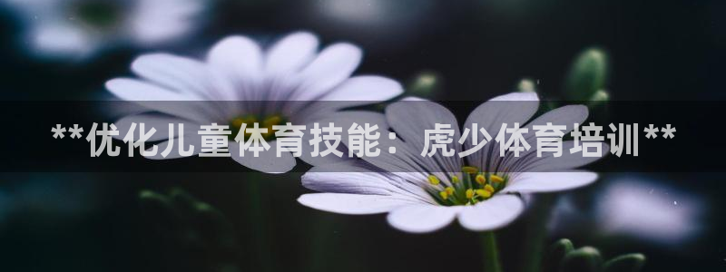 焦点娱乐全国总冠军是谁：**优化儿童体育技能：虎少体