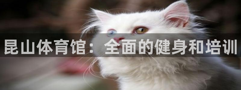 焦点娱乐网站下载地址：昆山体育馆：全面的健身和培训