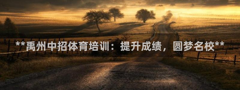 焦点娱乐官方网站入口在线观看下载：**禹州中招体育培