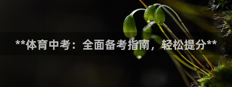 焦点娱乐传媒有限公司官网：**体育中考：全面备考指南