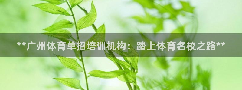 焦点娱乐是黑平台吗是真的吗：**广州体育单招培训机构：踏上体