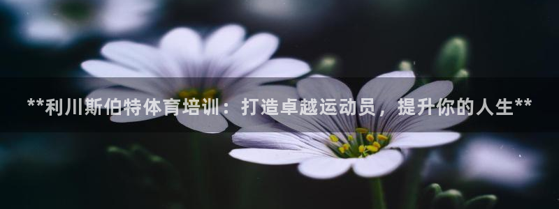 焦点娱乐官网下载苹果手机版：**利川斯伯特体育培训：打造卓越