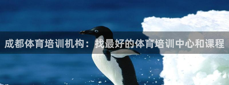焦点娱乐是黑平台吗是真的吗：成都体育培训机构：找最好的体育培