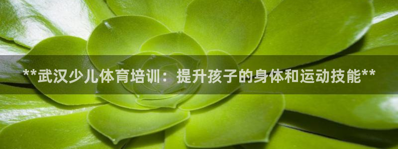 焦点娱乐平台登录不了怎么回事：**武汉少儿体育培训：