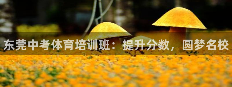 焦点娱乐app下载官网最新版苹果：东莞中考体育培训班：提升分