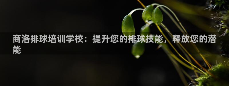 焦点娱乐平台新7O777：商洛排球培训学校：提升您的排球技能